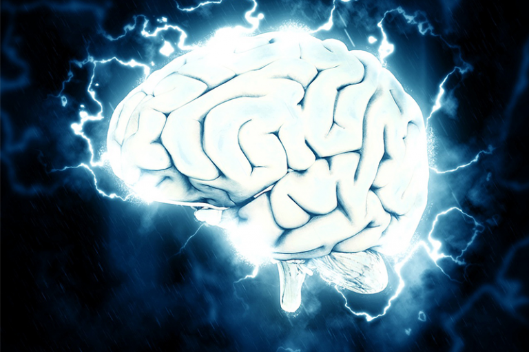 NMN能让大脑老化血管“变年轻”，提高认知与记忆能力