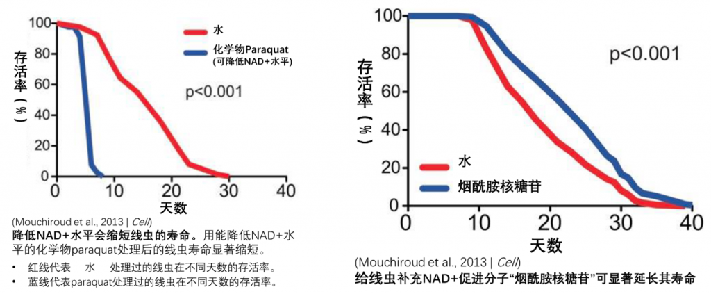突破寿命极限：瑞士研究证实补充NAD+可以延长寿命20%~29%插图3NMN
