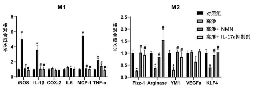 （Meng et al., 2021 | Journal of Inflammation Research）NMN和IL-17a抑制剂将巨噬细胞从M1（杀伤周围细胞）转变为M2（治愈周围细胞）。为了研究眼细胞暴露于高渗环境时巨噬细胞发生的免疫反应，研究人员测定了相关基因的活性，这些基因分别参与杀伤和治愈过程。他们发现NMN降低了M1巨噬细胞的基因活性，并普遍提高了M2巨噬细胞的基因活性。IL-17a抑制剂的效果相同。这表明NMN通过抑制IL-17a的功能促进了巨噬细胞从细胞杀伤到愈合的转变。