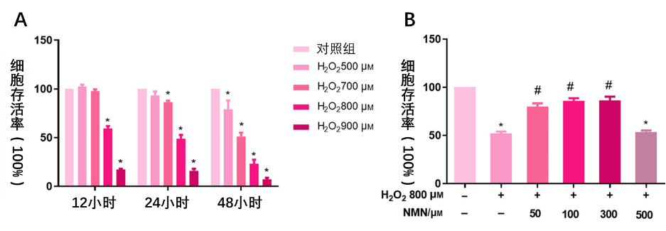 （Deng, et al. 2020 | FEBS Open Bio）NMN可防止氧化应激引起的线粒体损害。红荧光与绿荧光的比例表示离子穿过线粒体膜的能力（线粒体膜的渗透性）。比例越高表示线粒体膜的结构完整性更高。这个实验表明，NMN可以让细胞在H2O2（可引发氧化应激）环境中保持线粒体膜的结构完整性。
