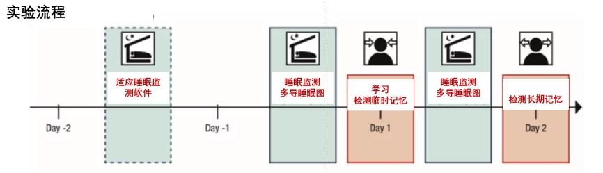 德日研究表明NMN等NAD+前体可通过提升深度睡眠时间来帮助提高记忆力插图4 图5:记忆和睡眠相关实验设计流程
