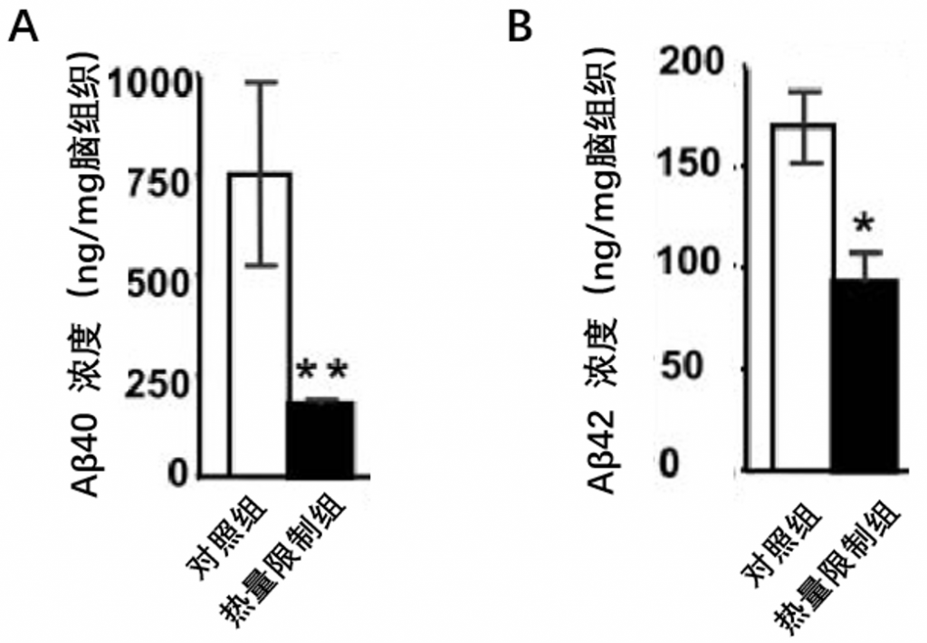 图3：节食可以逆转Aβ沉积（A）图中纵坐标代表小鼠脑组织中Aβ-40的浓度；（B）图中纵坐标代表小鼠脑组织中Aβ-42的浓度；与对照组相比，节食组小鼠的脑组织中Aβ-40和Aβ-42含量显著降低。用 T 检验进行假设检验，* p <0.05，** p <0.01 被认为具有统计学意义。
