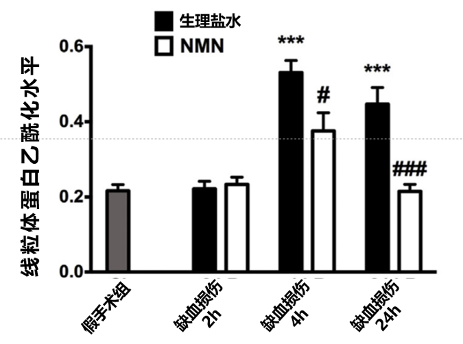 图3：补充NMN可减轻缺血损伤引起的线粒体蛋白乙酰化异常图中纵坐标代表线粒体蛋白乙酰化情况。“假手术组”（对照组）进行手术但不夹紧动脉，“缺血损伤组” 夹紧处理10分钟。与“假手术组”相比，在缺血损伤4小时和24小时时线粒体蛋白乙酰化显著提升，补充NMN可以减轻这一异常。用 双因素方差分析（Two-way ANOVA）进行假设检验，*代表与“假手术组”比较，#代表与生理盐水组比较，标记*或# 即代表p <0.05 ，被认为具有统计学意义。