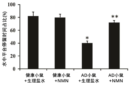 圖5 不同組別小鼠在水中平臺停留時間注:四組小鼠在水中平臺上停留