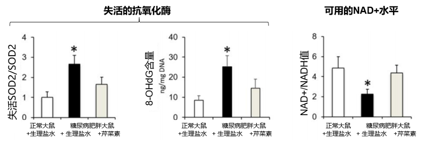 芹菜素被证实可通过提升NAD+水平改善糖尿病大鼠的肾脏功能插图4NMN