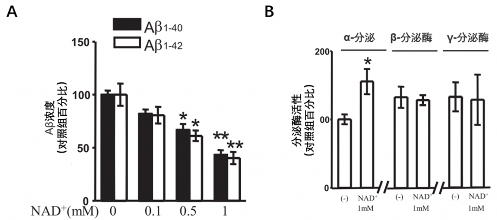 图5：补充NAD+和节食一样可以逆转Aβ沉积（A）补充NAD+可以逆转Aβ沉积；图中纵坐标代表小鼠脑组织中Aβ-40和Aβ-42的浓度，与对照组相比，补充不同浓度的NAD+分子，Aβ-40和Aβ-42含量显著降低。（B）补充NAD+可以提高α-分泌酶活性；图中纵坐标代表小鼠脑组织中α-、β-、γ-分泌酶的活性，与对照组相比，补充NAD+分子显著提高α-分泌酶的活性。用 T 检验进行假设检验，* p <0.05，** p <0.01 被认为具有统计学意义。