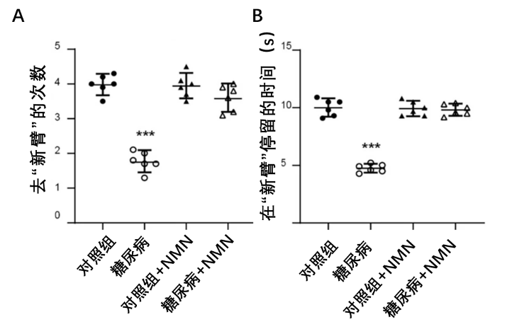 图5：NMN可挽救糖尿病导致的记忆能力下降“Y迷宫”实验结果展示。(A) 展示的是大鼠去新开放臂的次数，(B)展示的是大鼠在新开放臂停留的时间；与正常大鼠（对照组）相比，糖尿病组大鼠去新开放臂的次数和停留时间都显著降低，记忆能力受损，补充NMN可以显著提升记忆能力。