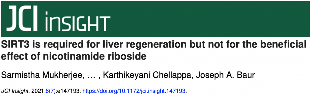图3 《JCI Insight》刊载的研究显示，对小鼠进行部分肝脏切除术后，肝细胞长寿蛋白（SIRT1、SIRT3）的流失会严重影响肝脏再生，而补充NAD+前体可以在不受长寿蛋白流失影响的情况下提高新陈代谢，增强肝脏再生功能