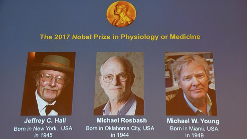 图1 2017年诺贝尔生理学或医学奖得主他们对生物昼夜节律的研究作出了巨大贡献