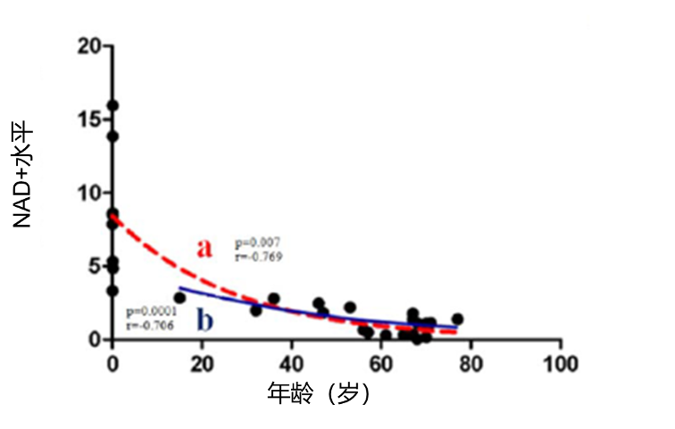 图1：NAD+随年龄增加在人体内的水平呈下降趋势2
注：红线“a”表示 NAD+水平在一生中的变化情况，而蓝色线“b”仅考虑青春期后NAD+水平的变化。