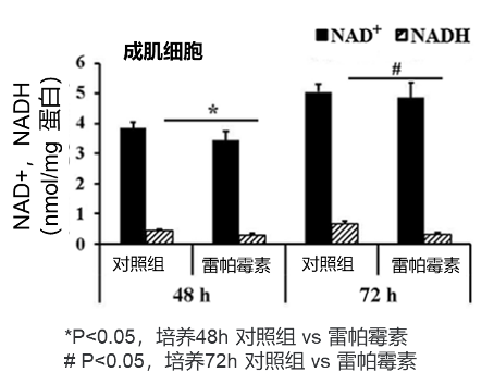 图3：雷帕霉素降低NADH浓度，对NAD+水平无显著影响