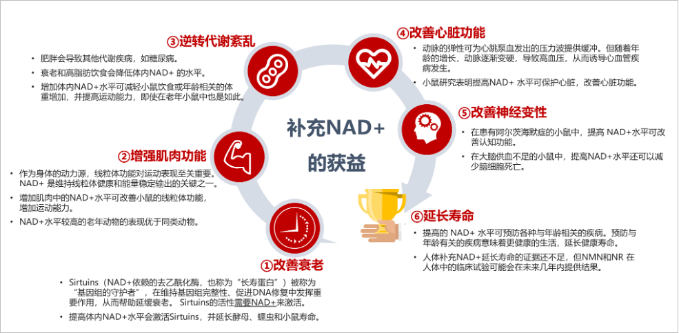 图4：补充NAD+水平的获益