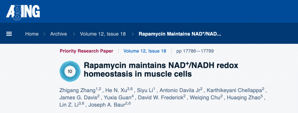 图1: 宾夕法尼亚大学研究者在《衰老》上发表的研究表明，雷帕霉素治疗可抑制老年小鼠肌肉中NAD+向NADH的转化，改善肌细胞能量代谢，从而延长寿命。