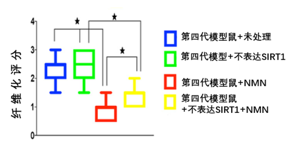 《细胞代谢》:NMN或可成为稳定端粒结构、改善肝纤维化的潜在手段插图4 图5 NMN对肝纤维化的改善作用部分依赖于Sirt1。