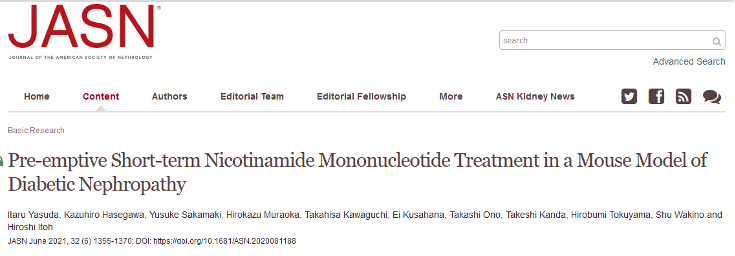 日本庆应大学研究发现NMN或可预防糖尿病肾病插图1NMN