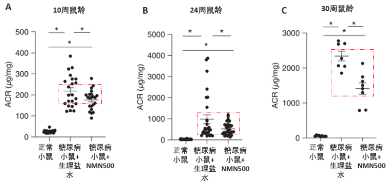 日本庆应大学研究发现NMN或可预防糖尿病肾病插图3NMN