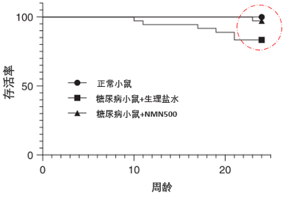 日本庆应大学研究发现NMN或可预防糖尿病肾病插图4NMN