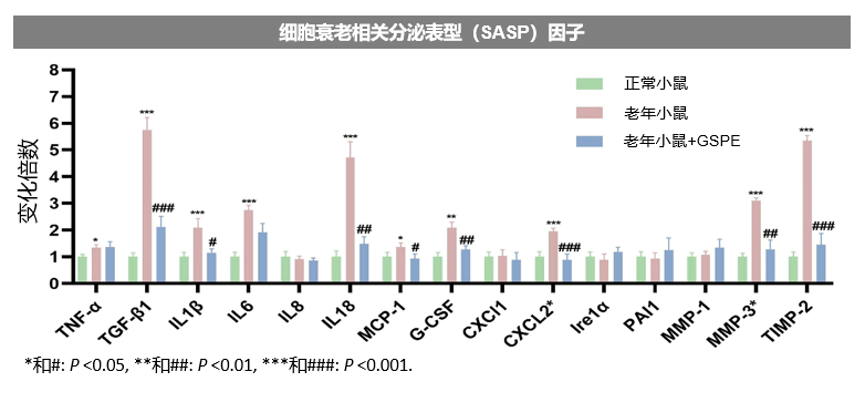 图7. GSPE对老年小鼠RPE细胞分泌的SASP因子的影响