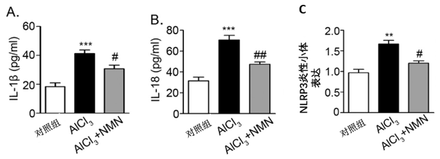 图8. NMN可能是通过抑制炎性反应来发挥部分的骨保护作用其中A和B为炎性相关因子，而C为NLRP3炎性小体，在机体免疫反应和疾病发生过程中具有重要作用。AlCl3：氯化铝。