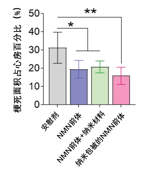 图3: 纳米晶体包被的NMN前体治疗心肌缺血效果更佳图中纵坐标代表心肌梗死面积占心房面积的百分比，与对照组（安慰剂）相比，补充NMN前体的受试者脂肪重量占体重百分比显著降低。用 T 检验进行假设检验，* p <0.05 被认为具有显著统计学意义。