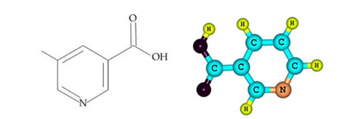 图6: 烟酸的分子式
